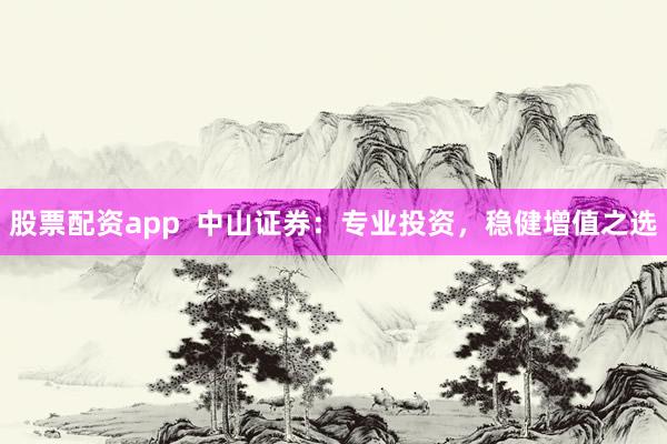 股票配资app  中山证券：专业投资，稳健增值之选