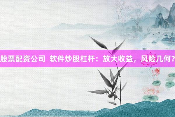 股票配资公司  软件炒股杠杆：放大收益，风险几何？