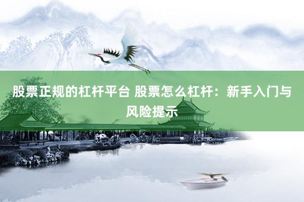 股票正规的杠杆平台 股票怎么杠杆：新手入门与风险提示