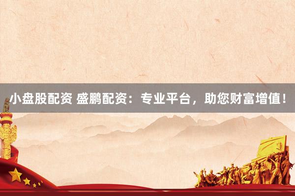小盘股配资 盛鹏配资：专业平台，助您财富增值！