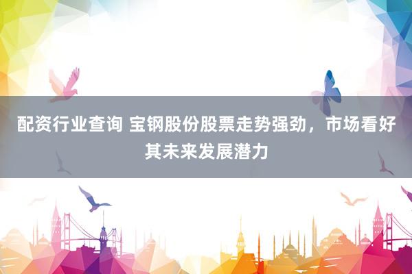 配资行业查询 宝钢股份股票走势强劲，市场看好其未来发展潜力