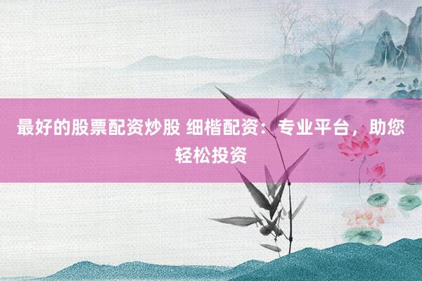 最好的股票配资炒股 细楷配资：专业平台，助您轻松投资