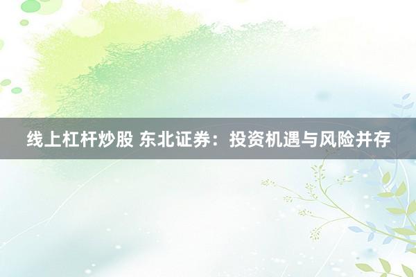 线上杠杆炒股 东北证券：投资机遇与风险并存