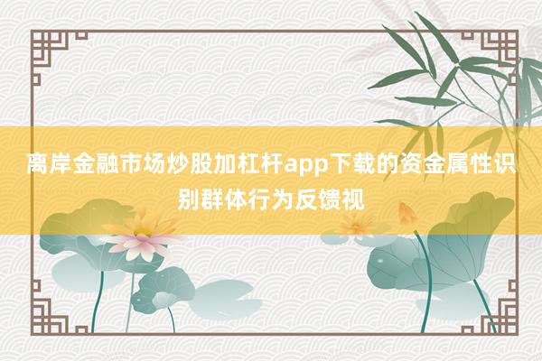 离岸金融市场炒股加杠杆app下载的资金属性识别群体行为反馈视