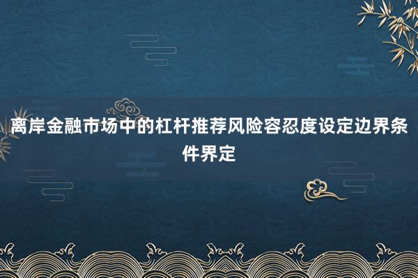 离岸金融市场中的杠杆推荐风险容忍度设定边界条件界定