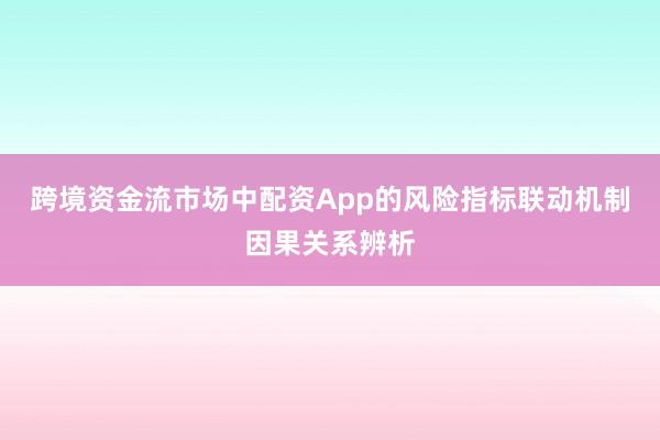 跨境资金流市场中配资App的风险指标联动机制因果关系辨析