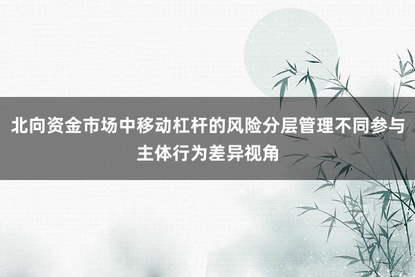 北向资金市场中移动杠杆的风险分层管理不同参与主体行为差异视角