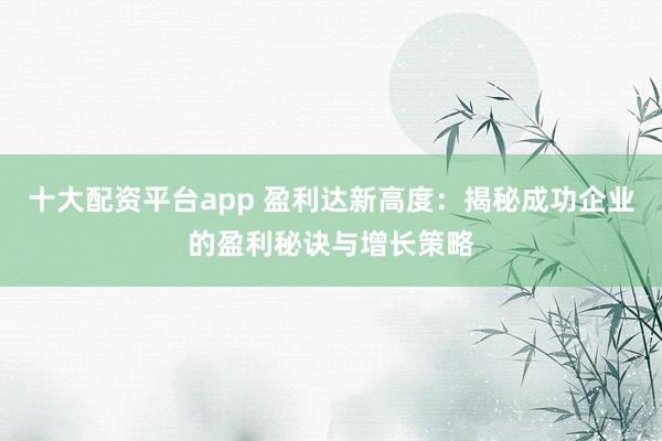 十大配资平台app 盈利达新高度：揭秘成功企业的盈利秘诀与增长策略